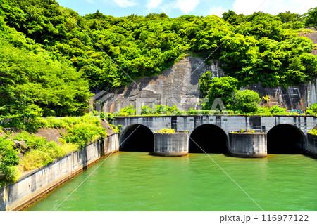 口野橋/狩野川放水路周辺(静岡県沼津市)【2024.7】 口野橋/狩野川放水路周辺(静岡県沼津市)【2024.7】 116977122