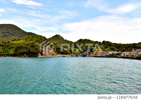 口野橋/狩野川放水路周辺(静岡県沼津市)【2024.7】 口野橋/狩野川放水路周辺(静岡県沼津市)【2024.7】 116977638