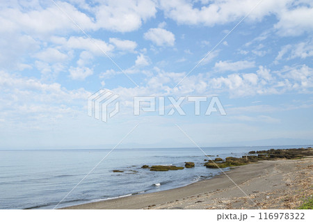 海の見える場所 116978322