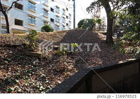 世田谷城址公園【東京都世田谷区】 116978523