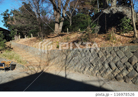 世田谷城址公園【東京都世田谷区】 116978526