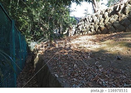 世田谷城址公園【東京都世田谷区】 116978531