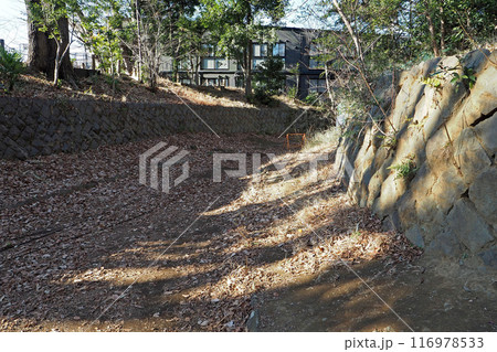 世田谷城址公園【東京都世田谷区】 世田谷城址公園【東京都世田谷区】 116978533