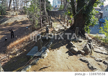 世田谷城址公園【東京都世田谷区】 116978538