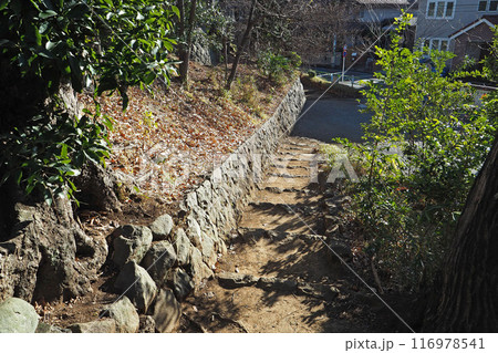 世田谷城址公園【東京都世田谷区】 116978541
