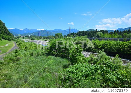 清流魚野川　立柄橋から上流　山・川の風景　新潟県湯沢町　 116978579