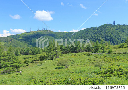 夏の美ヶ原高原 116978736