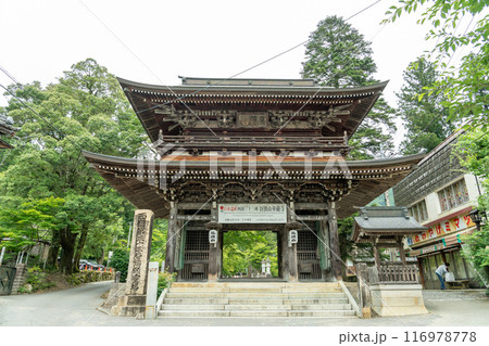 岐阜県揖斐川町　新緑の谷汲山華厳寺の山門 116978778