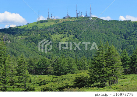 夏の美ヶ原高原 116978779