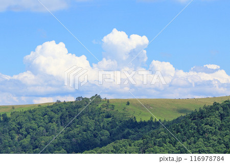 夏の美ヶ原高原 116978784