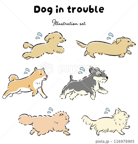 困った表情の犬のイラストセット 困った表情の犬のイラストセット 116978905
