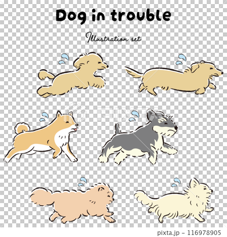 困った表情の犬のイラストセット 困った表情の犬のイラストセット 116978905