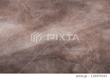 Construction worker thermally insulating house mineral wool attic with glass wool 116979161
