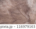 Construction worker thermally insulating house mineral wool attic with glass wool 116979163