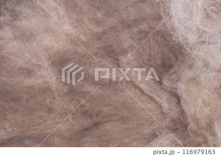 Construction worker thermally insulating house mineral wool attic with glass wool 116979163
