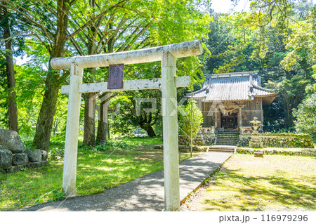 山神社 山神社 116979296