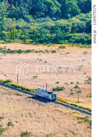 北海道 釧網本線　初秋の釧路湿原を行くキハ54　～夢ヶ丘展望台から～ 116979378
