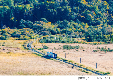 北海道 釧網本線 初秋の釧路湿原を行くキハ54 ~夢ヶ丘展望台から~ 北海道 釧網本線 初秋の釧路湿原を行くキハ54 ~夢ヶ丘展望台から~ 116979384