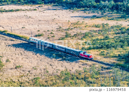 北海道 釧網本線 初秋の釧路湿原を行くノロッコ号 ~夢ヶ丘展望台から~ 北海道 釧網本線 初秋の釧路湿原を行くノロッコ号 ~夢ヶ丘展望台から~ 116979458