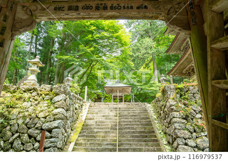 岐阜県揖斐川町　西美濃三十三霊場第一札所の新緑の横蔵寺の仁王門から見る三重塔 116979537