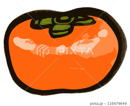 墨で描かれたシンプルな柿のイラスト 116979649