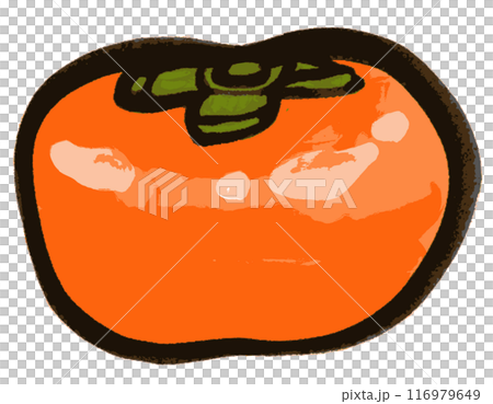 墨で描かれたシンプルな柿のイラスト 116979649
