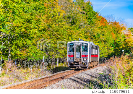 北海道 釧網本線　初秋の森を抜けるキハ54 （川湯温泉－美留和） 116979651