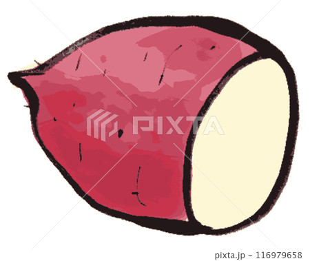 墨で描かれたシンプルなサツマイモのイラスト 116979658