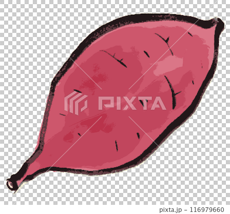 用墨水繪製的簡單紅薯插圖 116979660