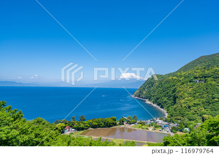 煌めきの丘　太陽の位置によって海面がキラキラと煌めく　紺碧の駿河湾を挟んで井田地区と富士山を一望 116979764