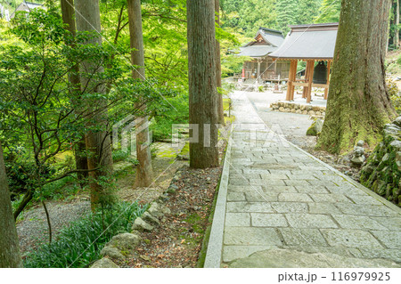 岐阜県揖斐川町 西美濃三十三霊場第一札所の新緑の横蔵寺の三重塔 岐阜県揖斐川町 西美濃三十三霊場第一札所の新緑の横蔵寺の三重塔 116979925