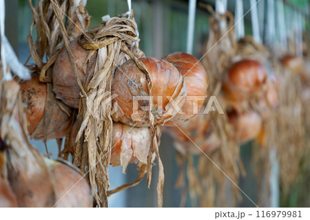 日本家屋の吊るし玉ねぎ 116979981