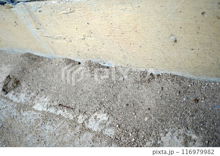 日本家屋の壁沿いに作られたたくさんのアリの巣 116979982