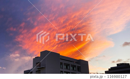 夕陽に染まる赤い雲 夕陽に染まる赤い雲 116980127