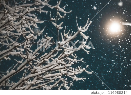寒い冬のイメージ 116980214