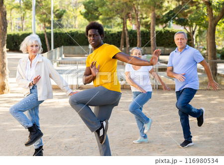 A group of multiracial mature adult people doing outdoor workout in a park 116980534