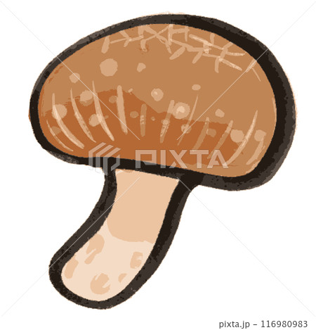 墨で描かれたシンプルな椎茸のイラスト 116980983