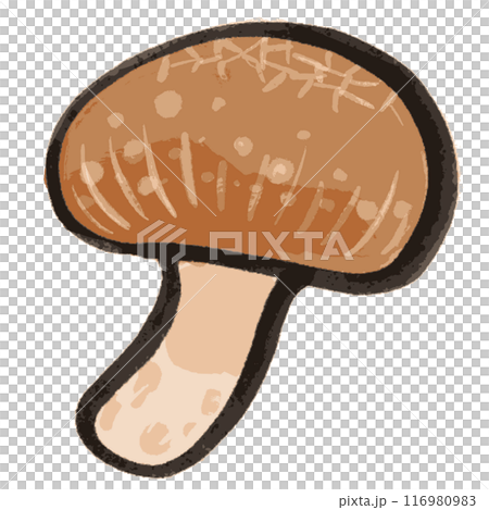 墨で描かれたシンプルな椎茸のイラスト 116980983