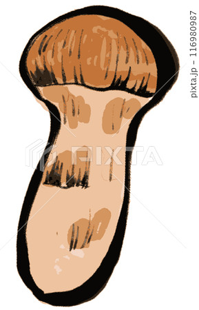 墨で描かれたシンプルな松茸のイラスト 墨で描かれたシンプルな松茸のイラスト 116980987