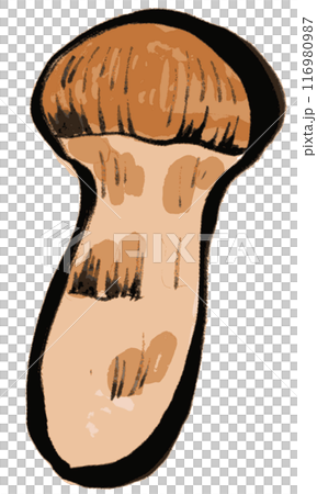 墨で描かれたシンプルな松茸のイラスト 墨で描かれたシンプルな松茸のイラスト 116980987