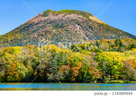 北海道　紅葉の雄阿寒岳と阿寒湖 116980994