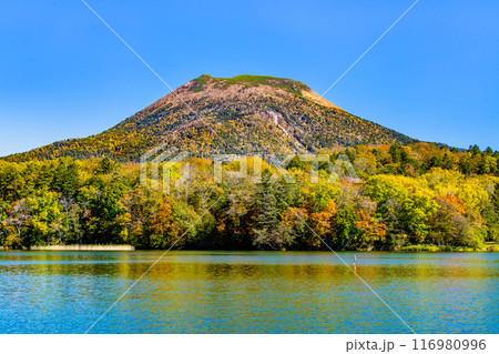 北海道 紅葉の雄阿寒岳と阿寒湖 北海道 紅葉の雄阿寒岳と阿寒湖 116980996
