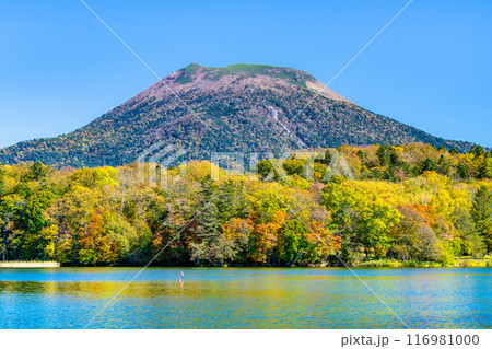 北海道　紅葉の雄阿寒岳と阿寒湖 116981000