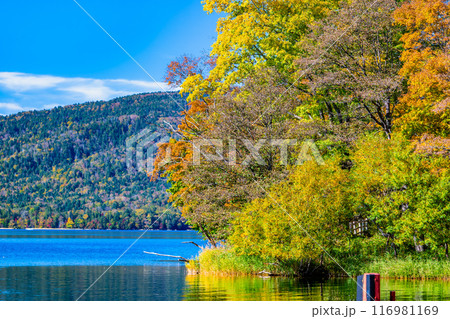 北海道 紅葉の阿寒湖 北海道 紅葉の阿寒湖 116981169