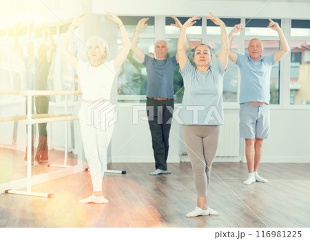 Positive mature woman practicing ballet positions standing in row with others Positive mature woman practicing ballet positions standing in row with others 116981225