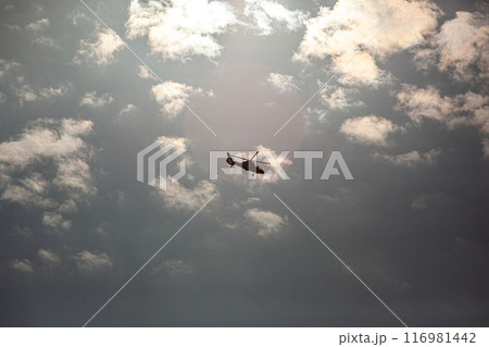 空を飛ぶヘリコプター 空を飛ぶヘリコプター 116981442