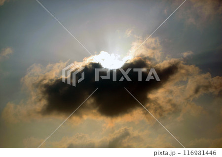 太陽に照らされる雲 116981446