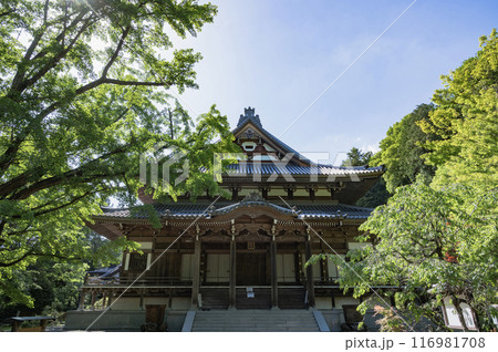 茨城　西念寺（笠間市） 116981708