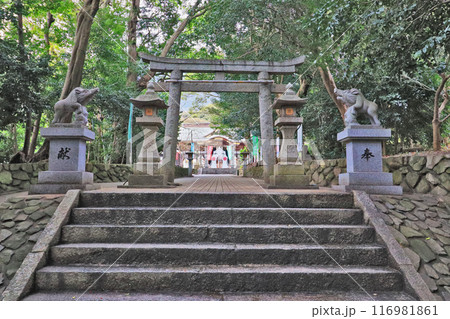 北九州市小倉南区にある葛原八幡神社節分の参道 北九州市小倉南区にある葛原八幡神社節分の参道 116981861