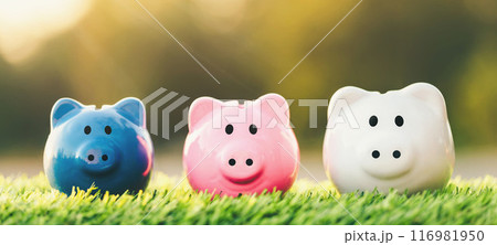 Three piggy banks placed place on the grass. Saving for future investment, retirement concept. planning savings money of coins to buy a home concept for property. Three piggy banks placed place on the grass. Saving for future investment, retirement concept. planning savings money of coins to buy a home concept for property. 116981950